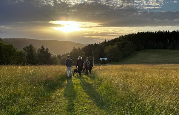 tough-sniff_2025_den-blick-heben