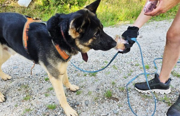 tough-sniff_2025_max_und_anna