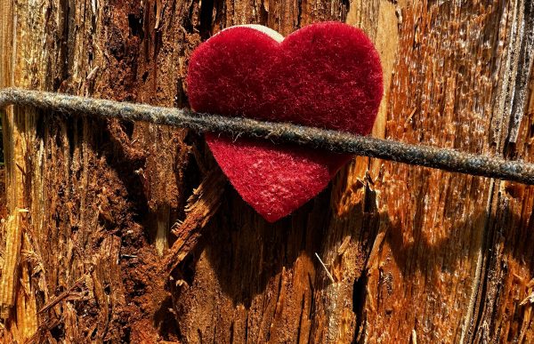 tough-sniff_2025_sniffing-point