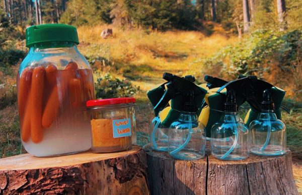 tough-sniff_2025_wuerstchen-wasser