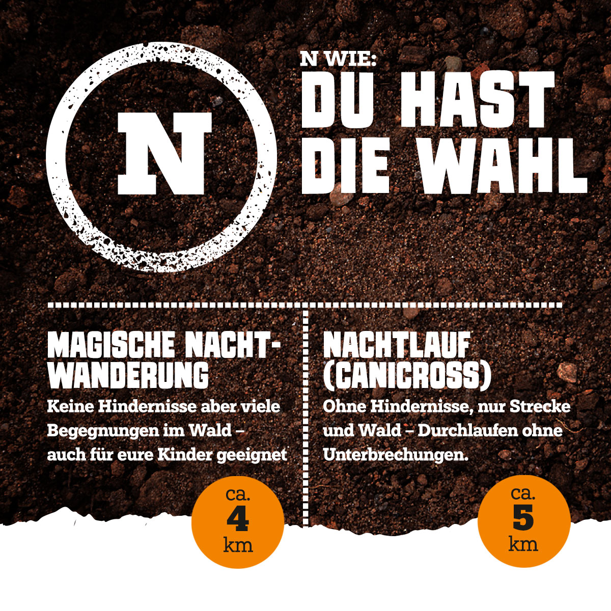 th_2026_Nachtlauf-magische-Nachtwaqnderung